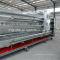 Automatic Chicken Poultry Equipment Cage System for Layer Broiler Pullet